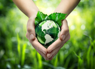 Jak wyglądają szkolenia z dziedziny ochrony środowiska?