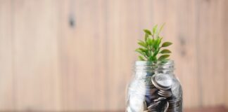 Czym są fundusze inwestycyjne?