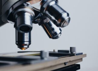 Ile jest celów zrównoważonego rozwoju wyznaczonych przez ONZ w 2030 r?