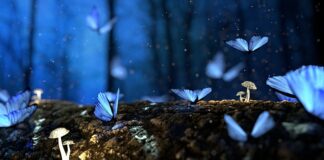 Czy drewno to bogactwo naturalne?