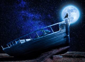 Co to jest podstawa programowa? Co to jest podstawa programowa?