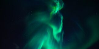 Co mogę obiecać Ziemi?