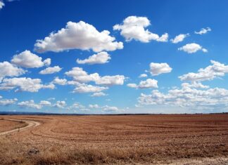 Ile jest obszarów edukacji? Ile jest obszarów edukacji?