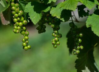 Jak udowodnić niedojrzałość emocjonalna? Jak udowodnić niedojrzałość emocjonalna?