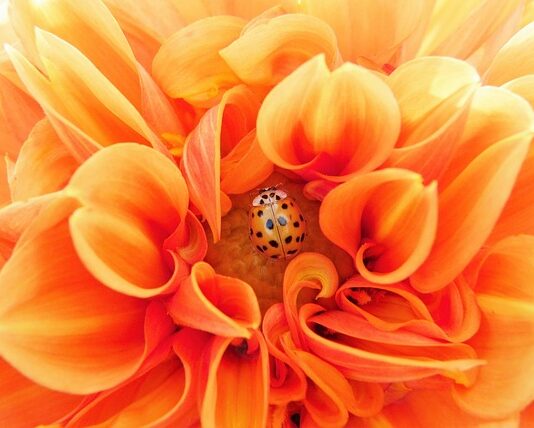 Jak być bardziej efektywnym w pracy?