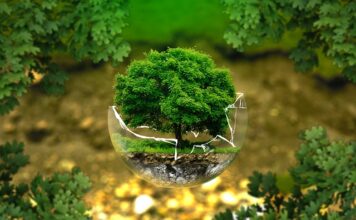 Co to znaczy żyć ekologicznie?