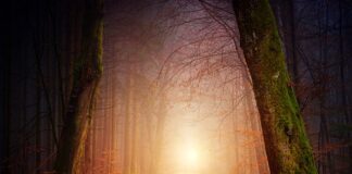 Jakie powinno być oświetlenie w miejscu pracy?