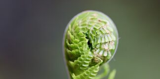 Jak rozwijać umiejętności komunikacji?