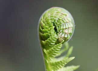 Jak rozwijać umiejętności komunikacji? Jak rozwijać umiejętności komunikacji?