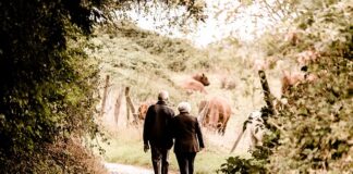 Czy osoba bezrobotna może przejść na emeryturę?