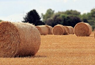 Na czym polega rola nauczyciela wspomagającego? Na czym polega rola nauczyciela wspomagającego?