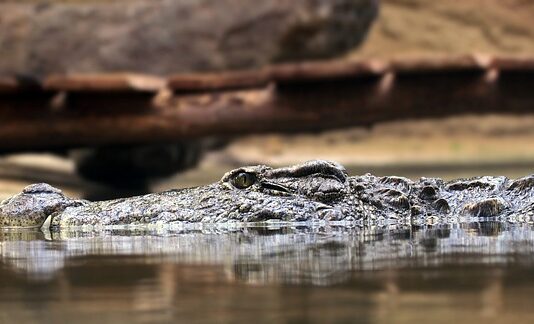 Jakie są zasady dobrej organizacji pracy?