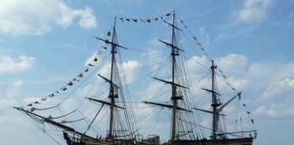 Co Polska eksportuje surowce?