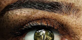 Jak wspierać ucznia ze specjalnymi potrzebami edukacyjnymi w klasie szkolnej?