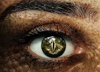 Jak wspierać ucznia ze specjalnymi potrzebami edukacyjnymi w klasie szkolnej? Jak wspierać ucznia ze specjalnymi potrzebami edukacyjnymi w klasie szkolnej?