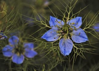 Ile w Polsce jest zielonej energii? Ile w Polsce jest zielonej energii?