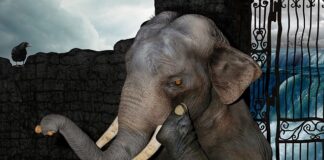 Jak skupić się tylko na sobie?