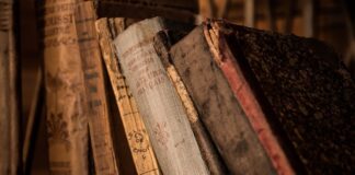 Na czym polega edukacja żywieniowa?