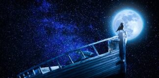 Co jest szersze podstawa programowa czy program?