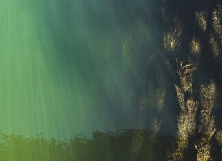 Czy w Polsce jest wysoki poziom nauczania?