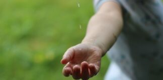 Jakie są formy zasobów?