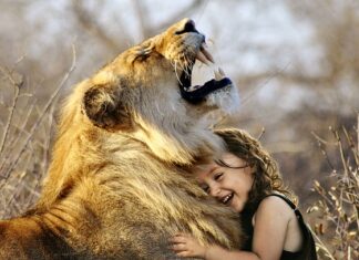 Jaka jest najlepsza poczta elektroniczna?