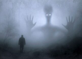 Ile kosztuje Spirit box?