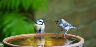 Jak odblokować mowę u dziecka?