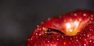 Jakie korzyści daje praca?