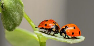 Czym skutkują błędy żywieniowe?