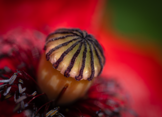 Co powoduje dziury w pamięci?