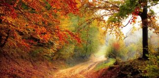 Ile trwa rok szkolny w USA?