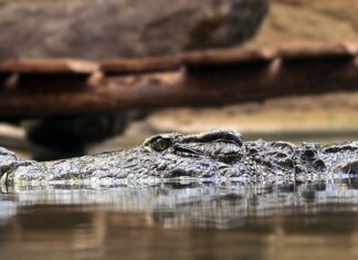 Na czym polega zasada 7U? Na czym polega zasada 7U?