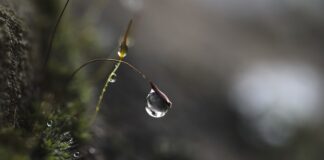 Co pić na skupienie?