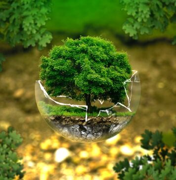 Co to znaczy być ekologicznym na co dzień?