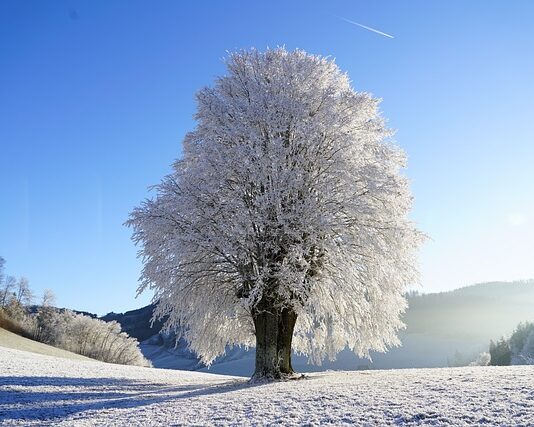 W jakim kraju można jeździć bez prawa jazdy? W jakim kraju można jeździć bez prawa jazdy?