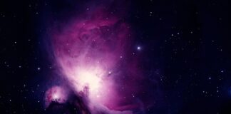 Ile lat trwa nauka w liceum ogólnokształcącym?