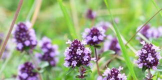 Czy trudno się dostać na PW?