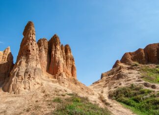 Dlaczego zmieniono piramidę żywienia?