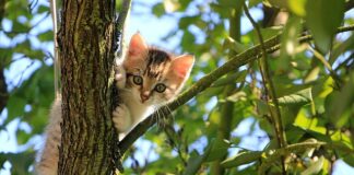 Jak zrobić ciekawa lekcje?