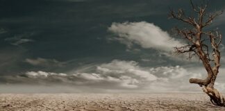 Jak szanować Ziemię?