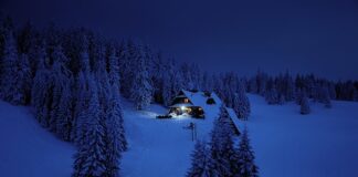 Jaki jest główny cel badań marketingowych?