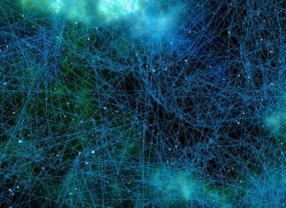 Która część mózgu odpowiada za uzależnienie? Która część mózgu odpowiada za uzależnienie?