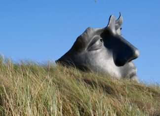Jak uspokoić układ nerwowy?