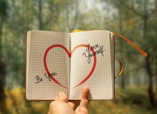 Czy Media Markt i Media Expert to jest to samo?