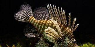 Jak człowiek wpływa na ekosystem?