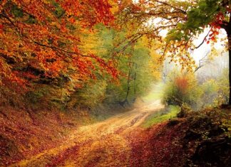 W którym roku był prąd w Polsce? W którym roku był prąd w Polsce?