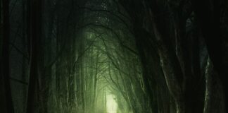 Komu przysługuje przejście warunkowe?